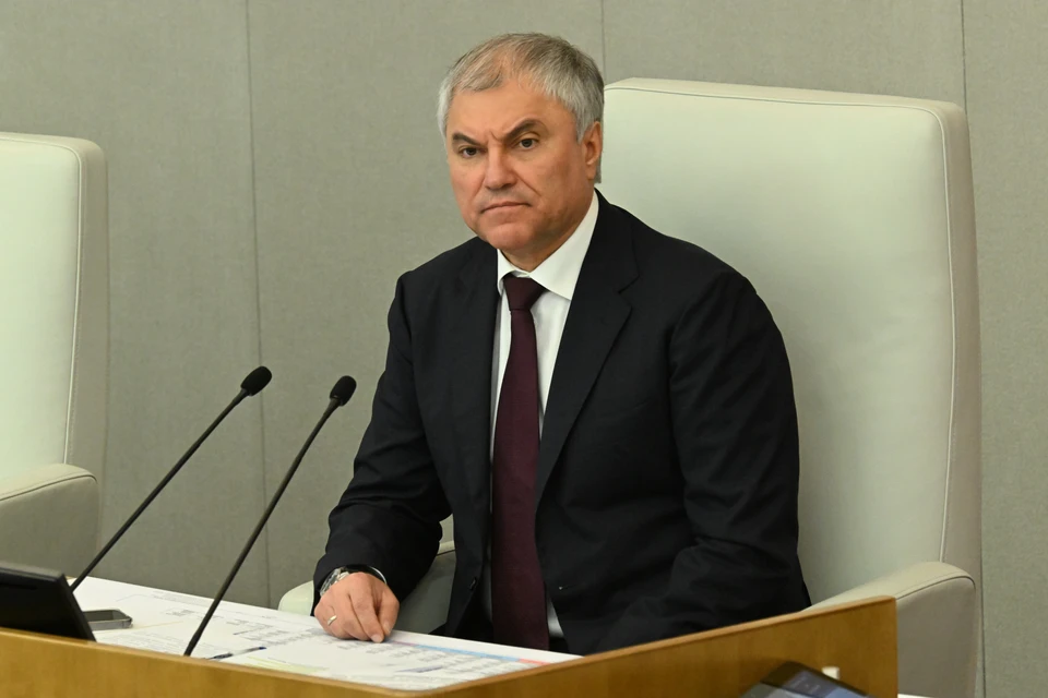 Володин отправил в ФРГ свидетельства преступлений Киева против мирных граждан