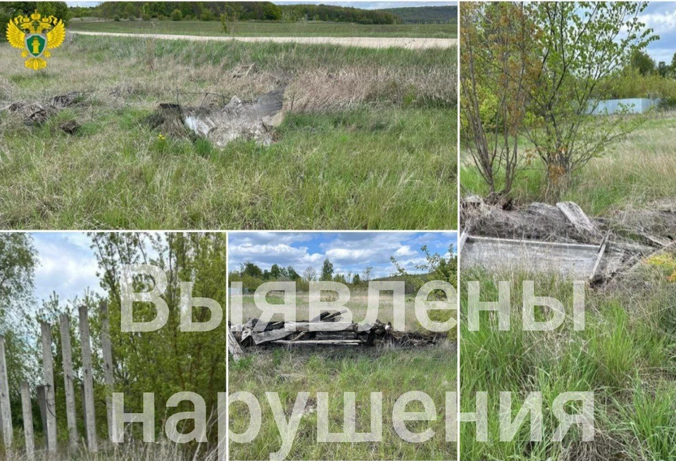По требованию прокуратуры ликвидировали свалки в Ефремовском районе Тульской области