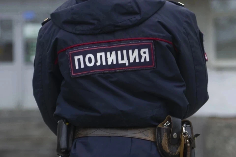 В Подмосковье задержали мужчину, избившего собутыльника