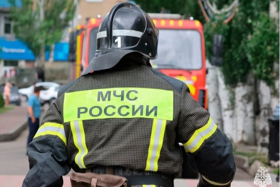 58 пожаров потушили в регионе 13 июня. Фото: ГУ МЧС России по Запорожской области