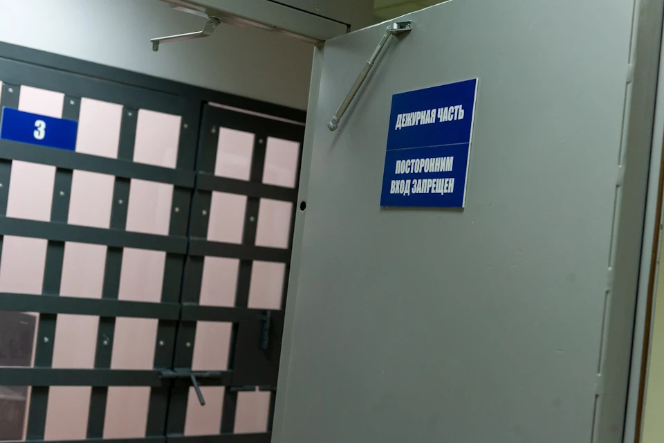 В Подмосковье задержали воров, которые вынесли из магазина семь смартфонов