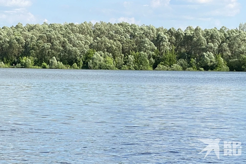 Молодую женщину нашли в трех метрах от берега на Борковском карьере в Рязани.