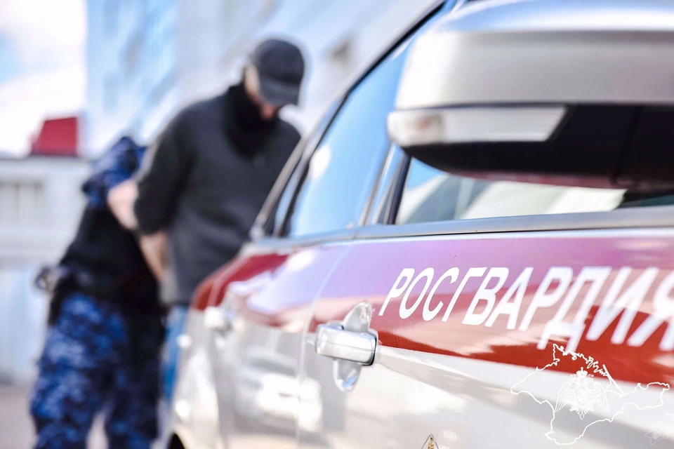Противоправные действия субъекта были пресечены. Фото: 82.rosguard.gov.ru