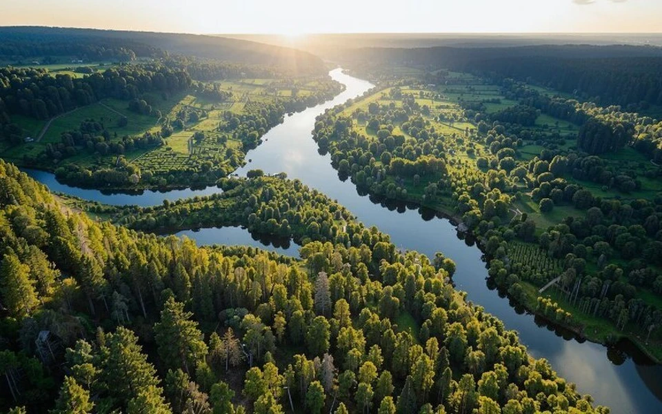 Еще один отличный день! Фото: сгенерировано нейросетью