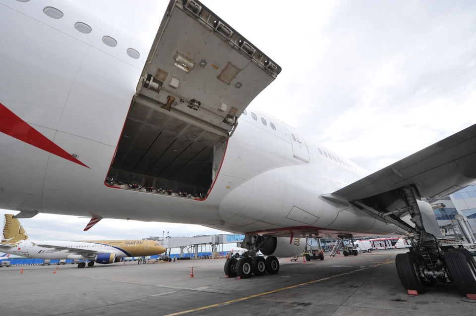 Самолет авиакомпании Air Arabia должен был вылететь в Уфу еще 14 июня.