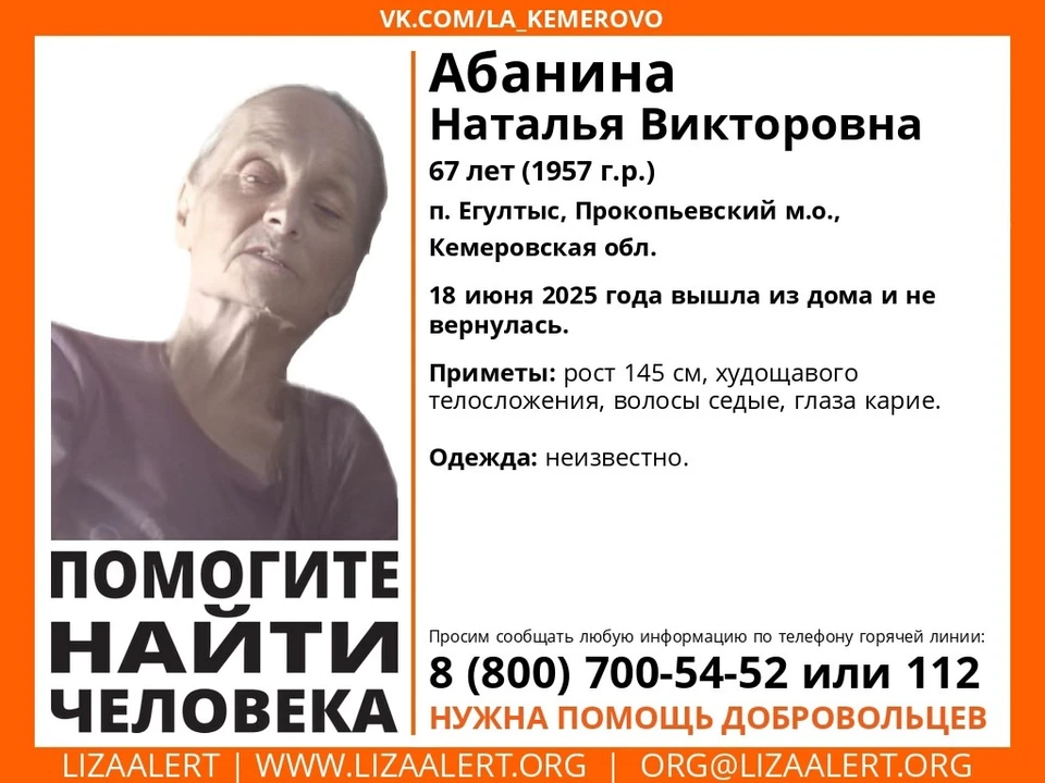 Фото: «ЛизаАлерт Кузбасс».