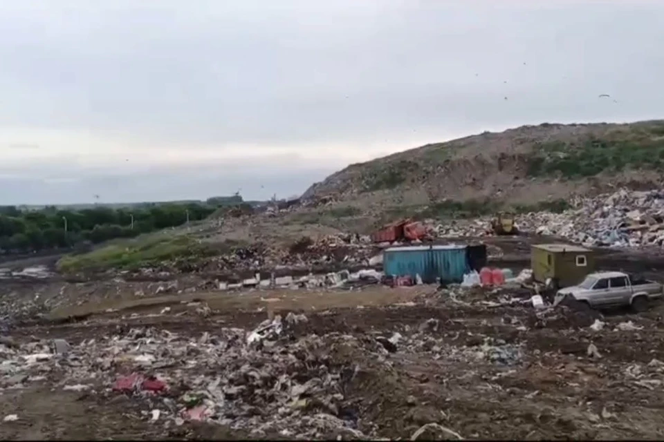 Под Новосибирском возле Хилокского полигона загорелась трава. Фото: пресс-служба мэрии Новосибирска