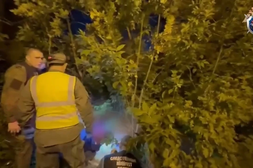 Фото: скриншот видео краевого следкома