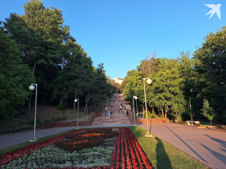 Теперь на прогулку в парк - только вечером! Фото: "КП"