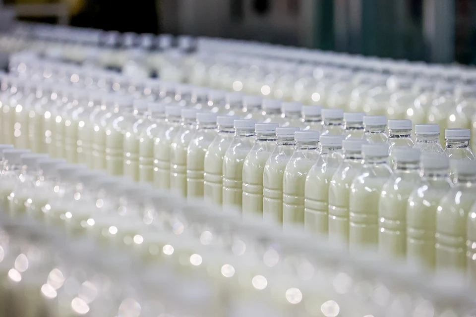 Декларации были оформлены на продукты, которые не проверили должным образом