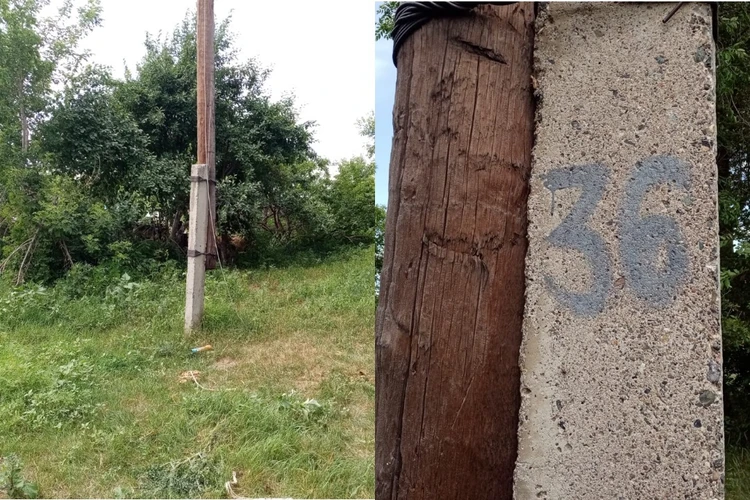 «У нас дважды случался пожар из-за проводов»: глава сельсовета прокомментировала смерть ребенка от удара током на Алтае