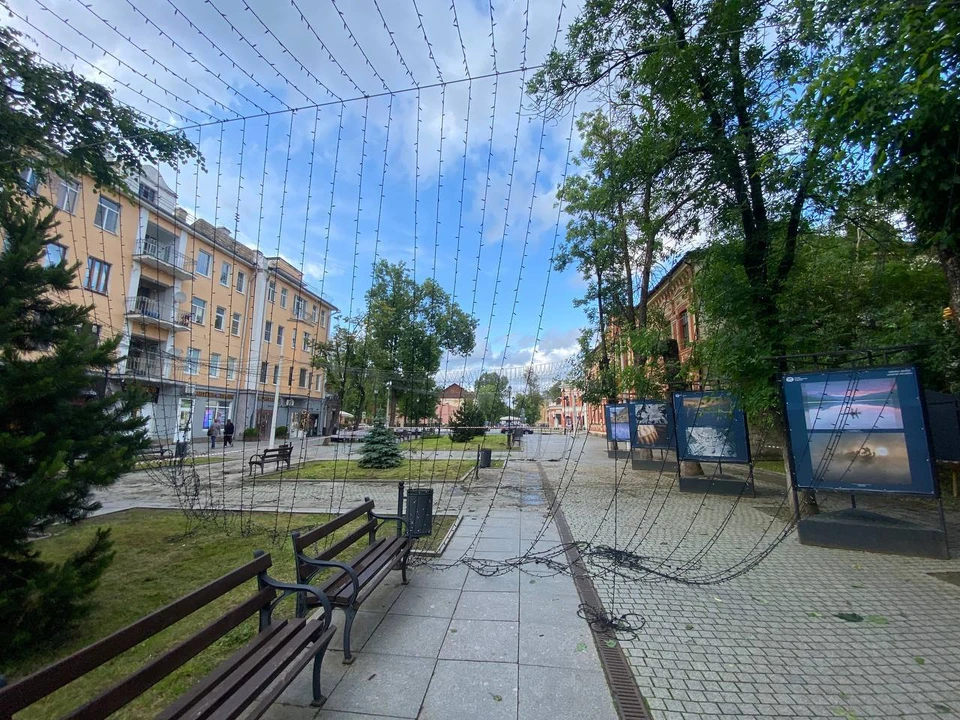 Фото: соцсети Бориса Елкина.