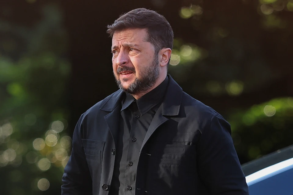 Welt: Зеленский стал массовкой на саммите НАТО в Гааге