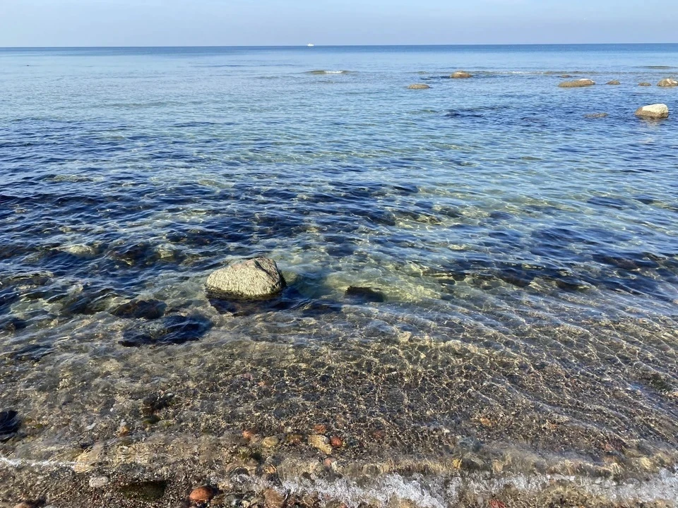 На водных объектах в Крыма погибли пятеро взрослых и ребенок в 2025 году