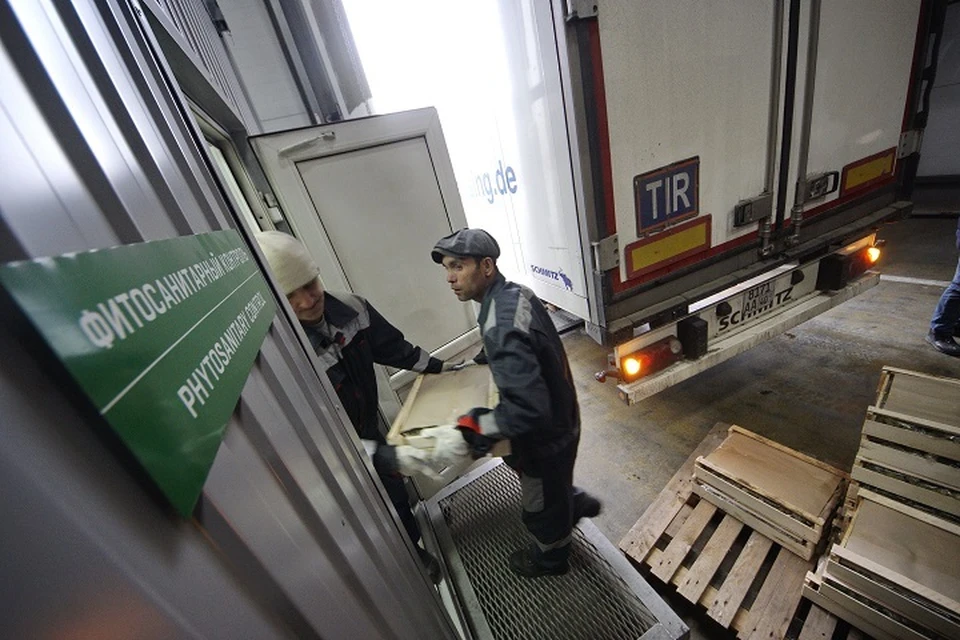 Нарушения при оформлении документов на рыбную продукцию нашли в Хабаровском крае
