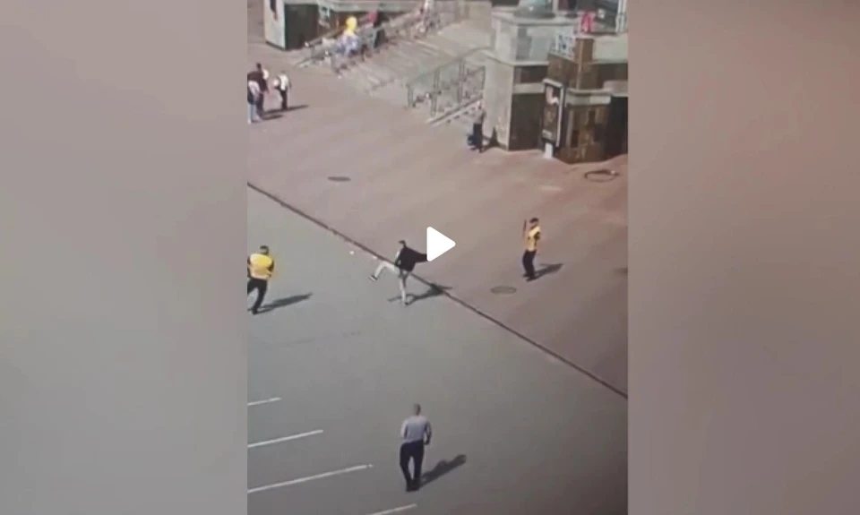 Фото: скриншот видео транспортной полиции Сибири