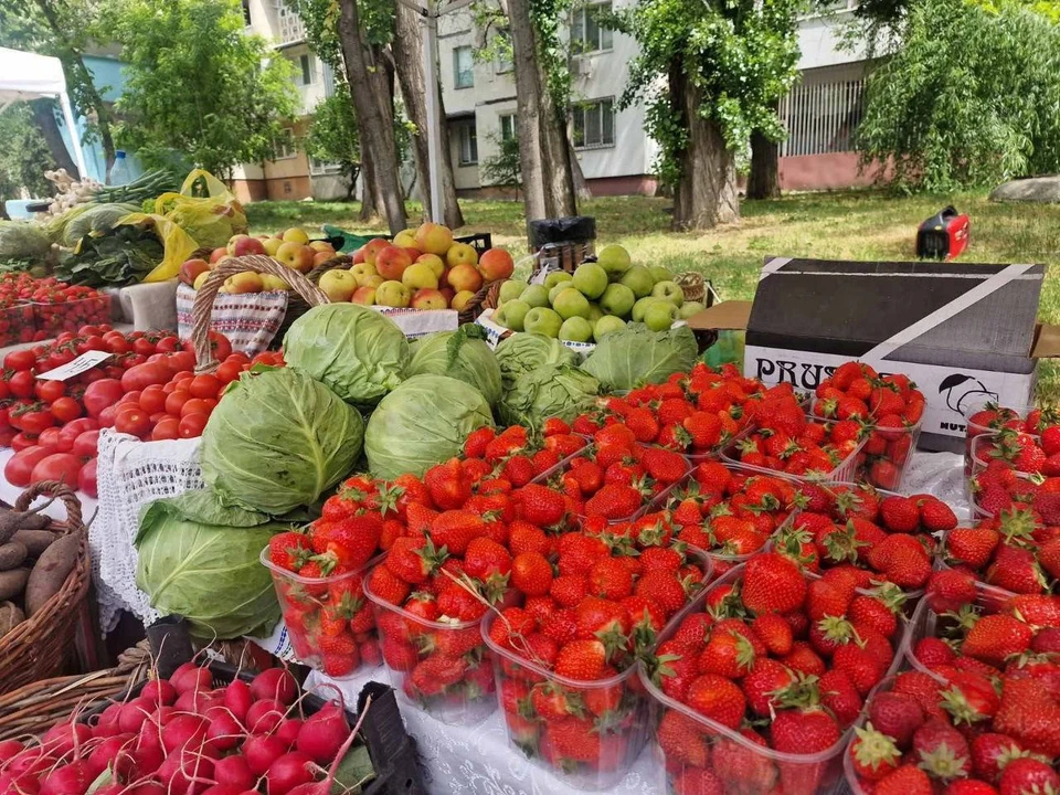 Кишиневцам полюбились ярмарки выходного дня. Фото: мэрия Кишинева