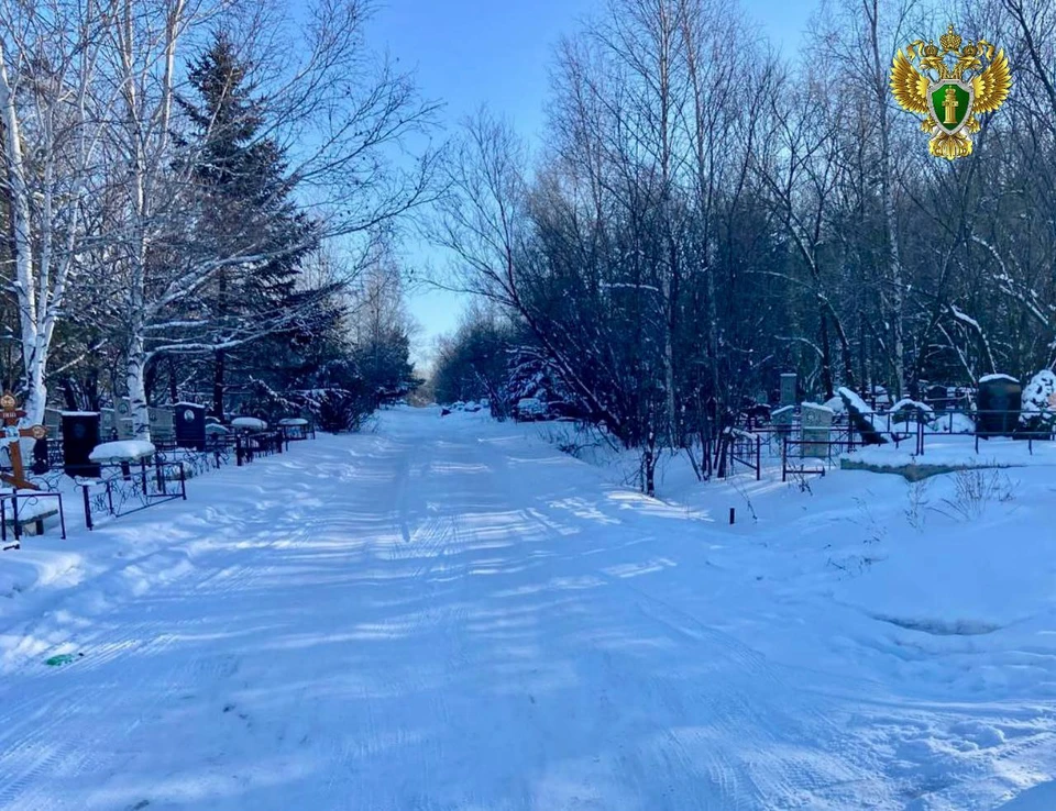 Под предлогом прогулки людей заманивали в безлюдные места Фото: прокуратура Хабаровского края