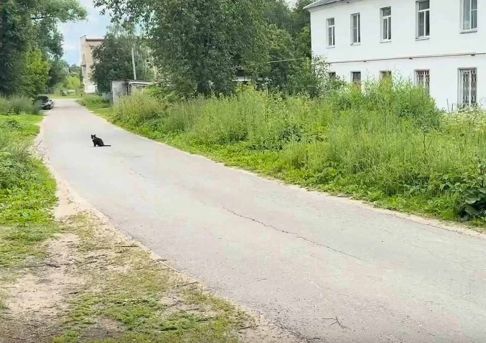 Администрация Петушинского района