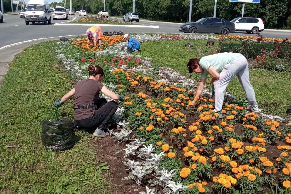 В микрорайоне Ростоши разбивают новые клумбы. Фото: мэрия Оренбурга