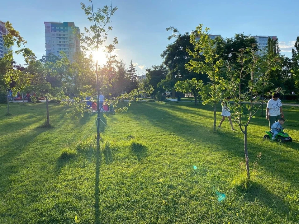 Подхватить клеща можно, даже валяясь на травке в городских парках.