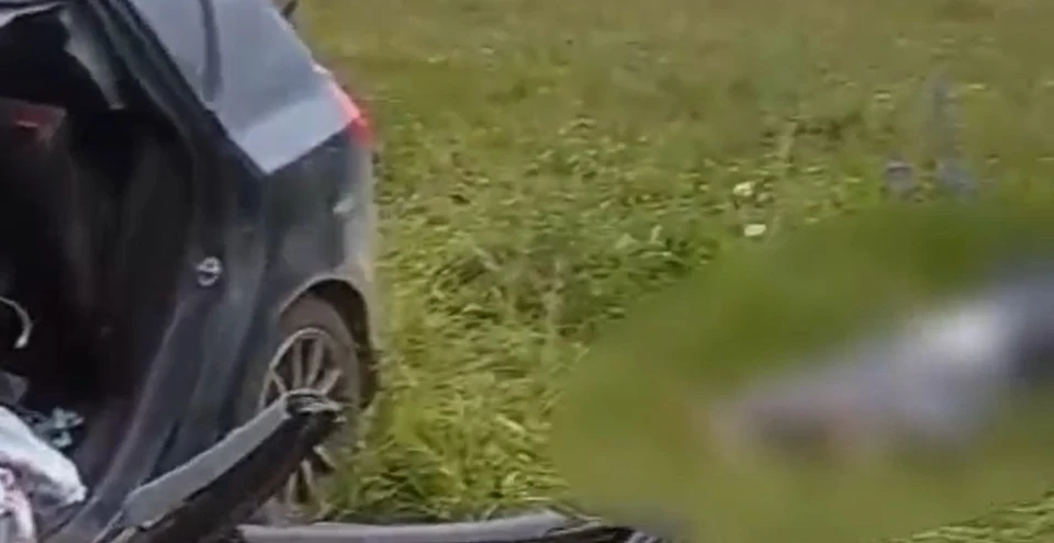 Фото: скриншот видео ГАИ Башкирии