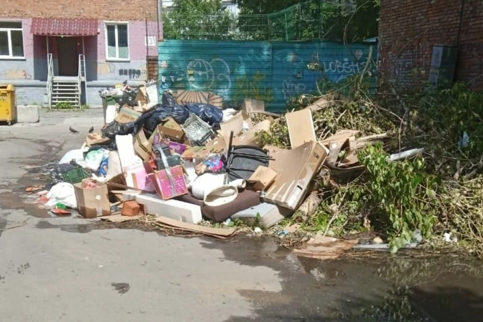 Новосибирцы бьют тревогу из-за крыс, живущих на мусорной площадке на Геодезической. Фото: предоставлено КП-Новосибирск