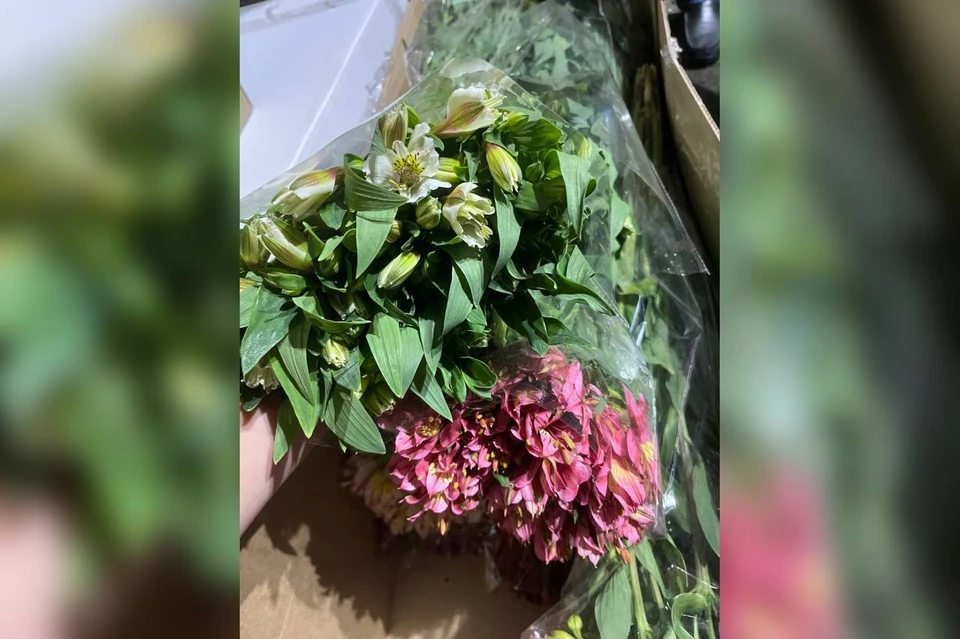 В цветах нашли цветочного трипса Фото: Южное межрегиональное управление Россельхознадзора