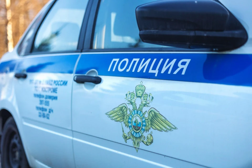 Фото: пресс-служба УМВД России по Костромской области