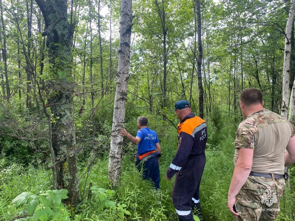 Спасатели МЧС искали заблудившегося пенсионера в лесах Комсомольского района Фото: МЧС Хабаровского края
