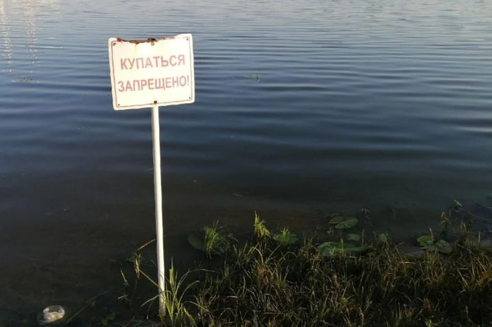 В Ярославле открыты три пляжа, но купаться там запрещено.