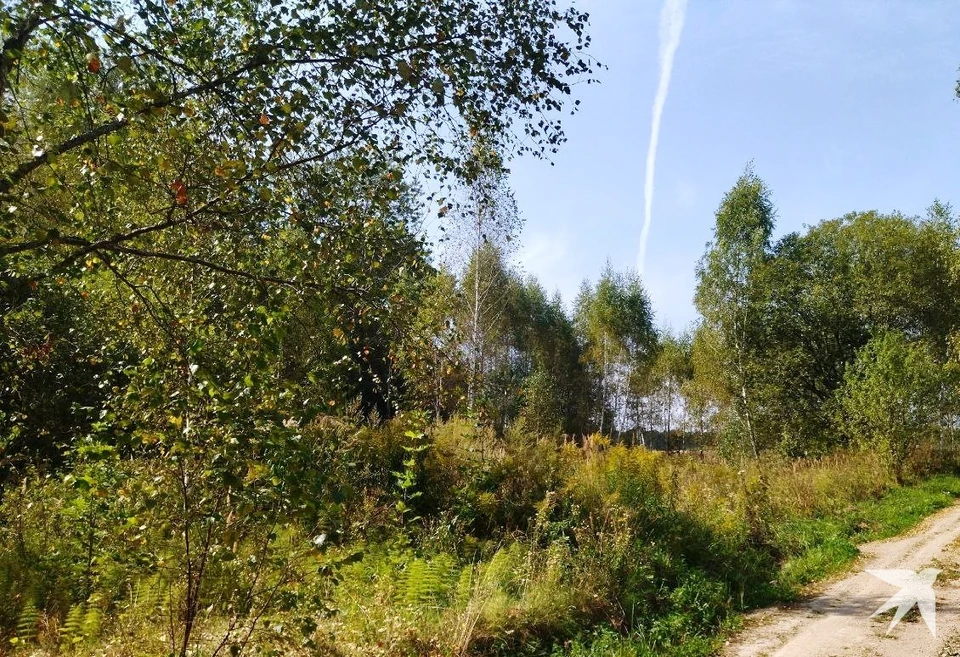 Пять вражеских дронов сбиты над Калужской областью.