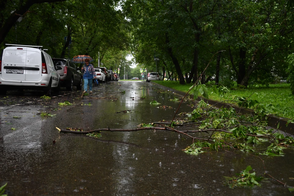 Фото: архив "КП".