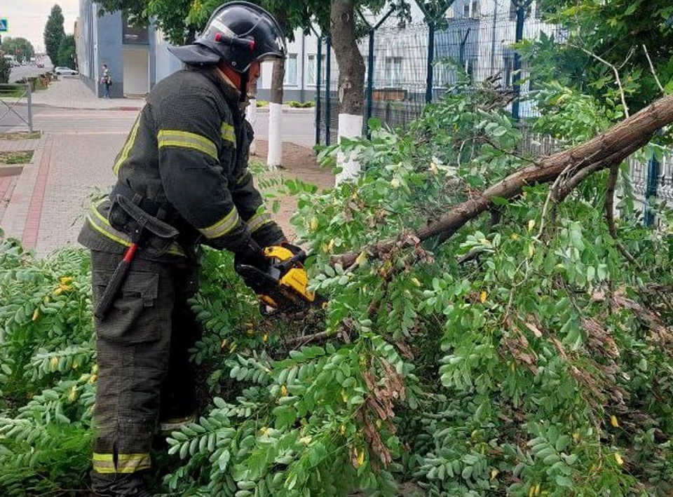 В городе убрали упавшие деревья. Фото - тг-канал МЧС Запорожской области