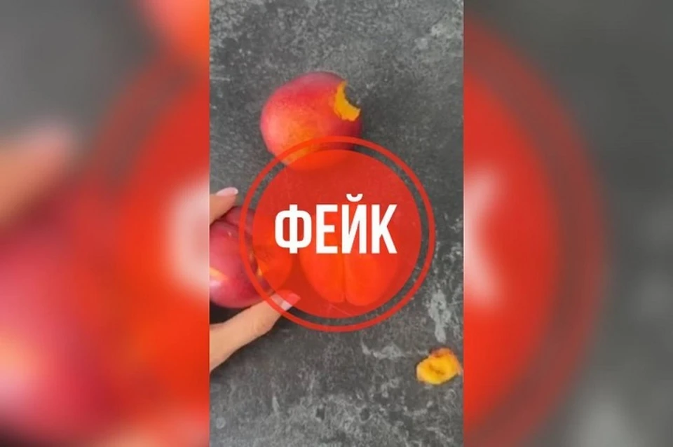 Обращений в правоохранительные органы не поступало. Фото: telegram-канал «Антитеррор Урал»