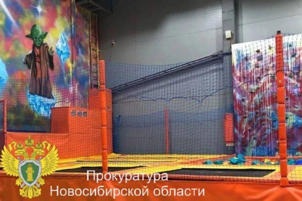 В Новосибирске закрыли батуты, на которых дети получили травмы. Фото: прокуратура Новосибирской области