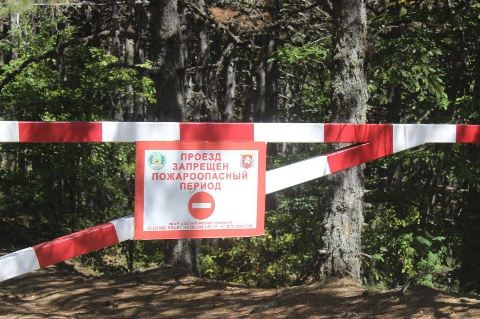 В регионе действует особый противопожарный режим. Фото: 82.mchs.gov.ru