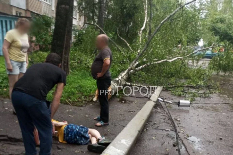 Столб упал прямо на ребенка. Фото: телеграм-канал Про Город Ярославль