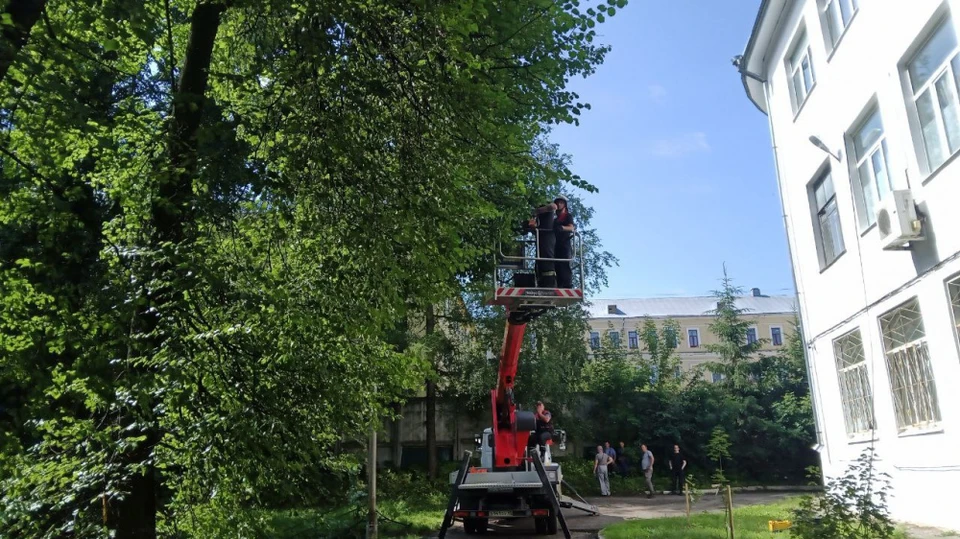Фото: пресс-служба администрации города Костромы