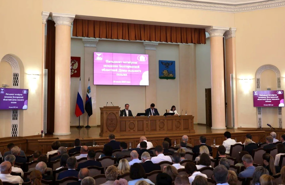 Фото - архив пресс-службы Белгородской облдумы.