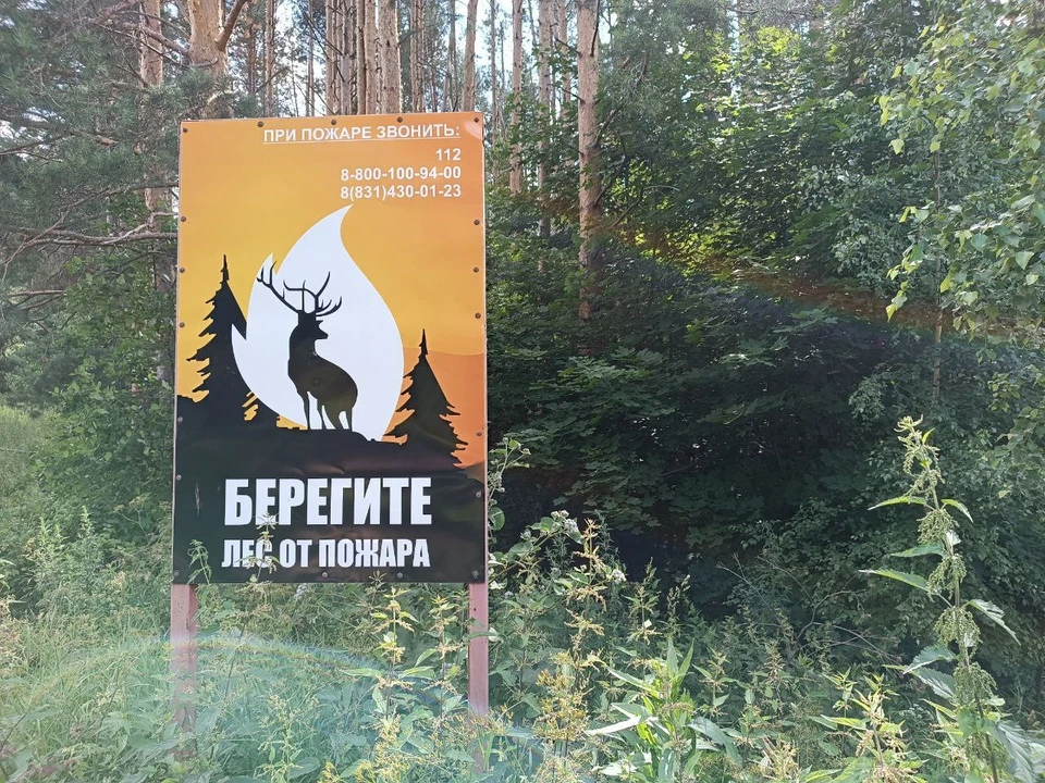 Высокая пожароопасность ожидается в Нижегородской области.