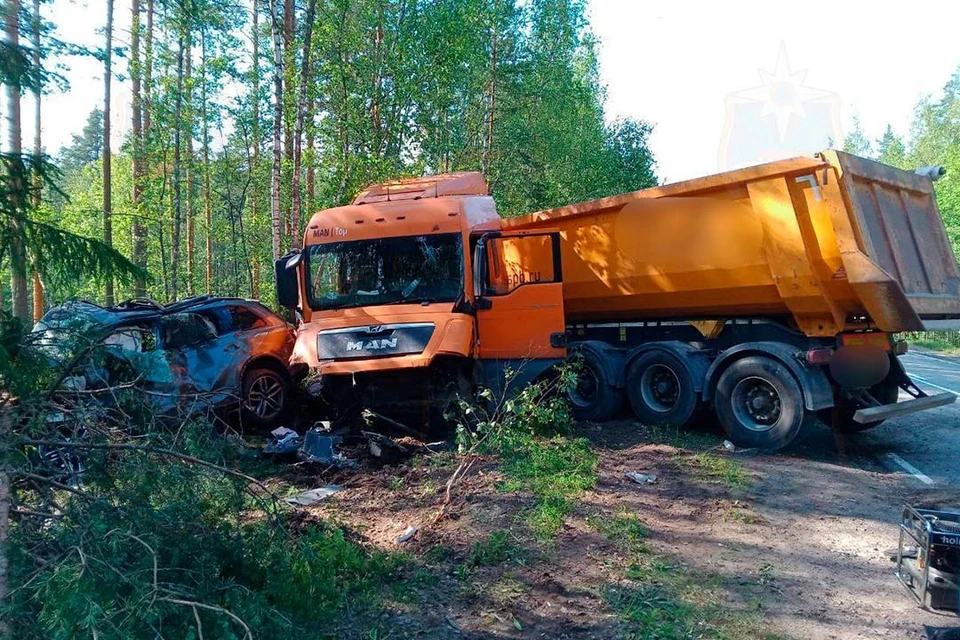 Полиция проводит проверку аварии с летальным исходом. Фото: t.me/acclenobl