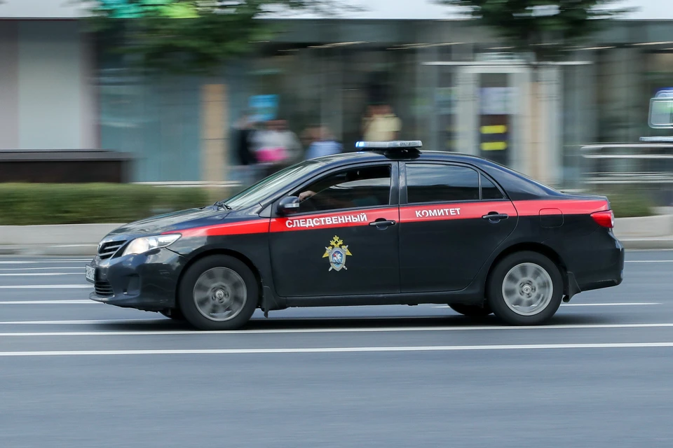 Мальчика бросали с горки, над девочкой цинично издевались: толпа избила детей с аутизмом прямо под окнами дома