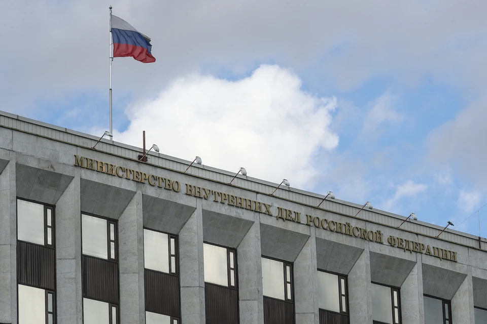 В РФ разыскивают лидера РДК* и сына режиссёра «Моей прекрасной няни» Кирющенко**
