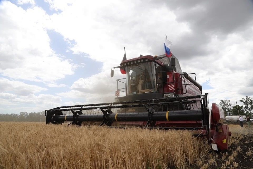 Хлеборобы ДНР продолжают уборку урожая несмотря на жару
