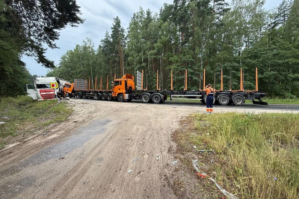 В ДТП попали сразу три грузовика. Фото: Госавтоинспекция Рязанской области.