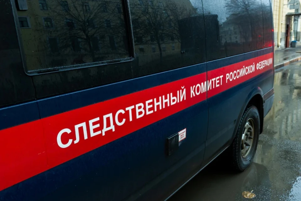 ТАСС: СК намерен возбудить новое дело о поставках бракованных бронежилетов