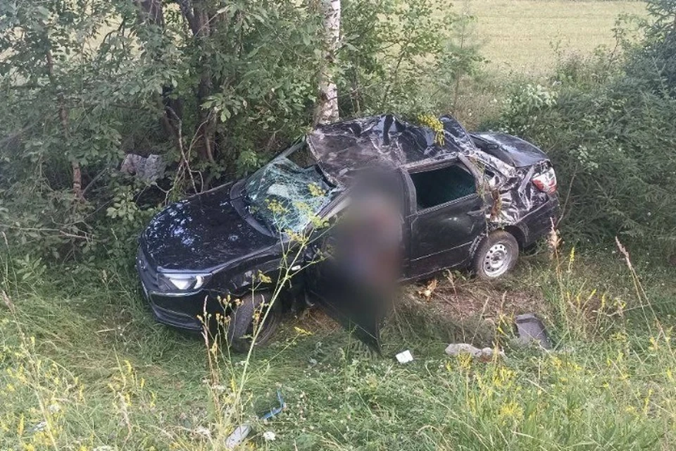 Мужчина погиб на месте аварии. Фото: Госавтоинспекция Удмуртии