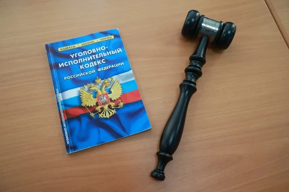 Приговор пока не вступил в законную силу