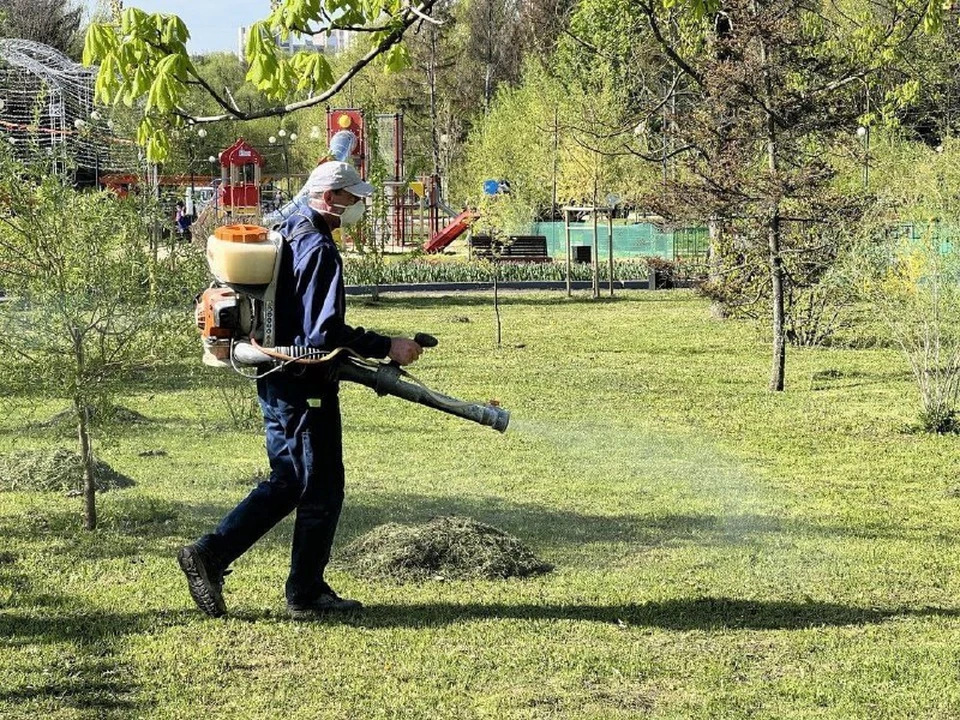 Фото: мэрия Белгорода